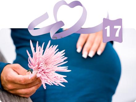 שבוע 17