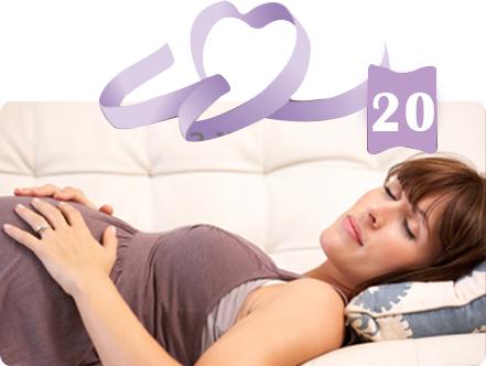 שבוע 20