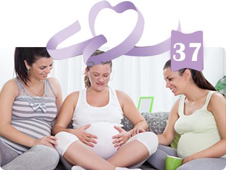 שבוע 37